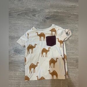 Tea Collection boys shirt
